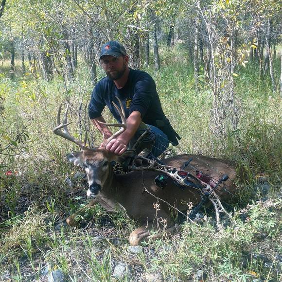 Meet your Posher, Daniel - Picture 1 of 1